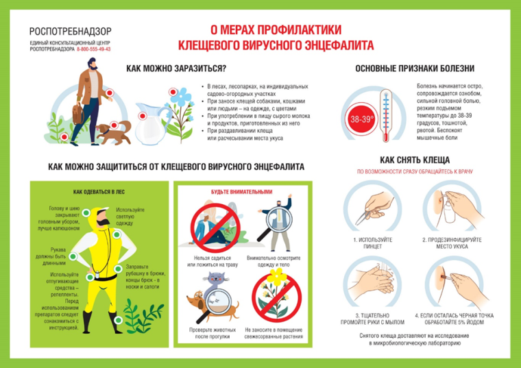 Осторожно! Клещи!.